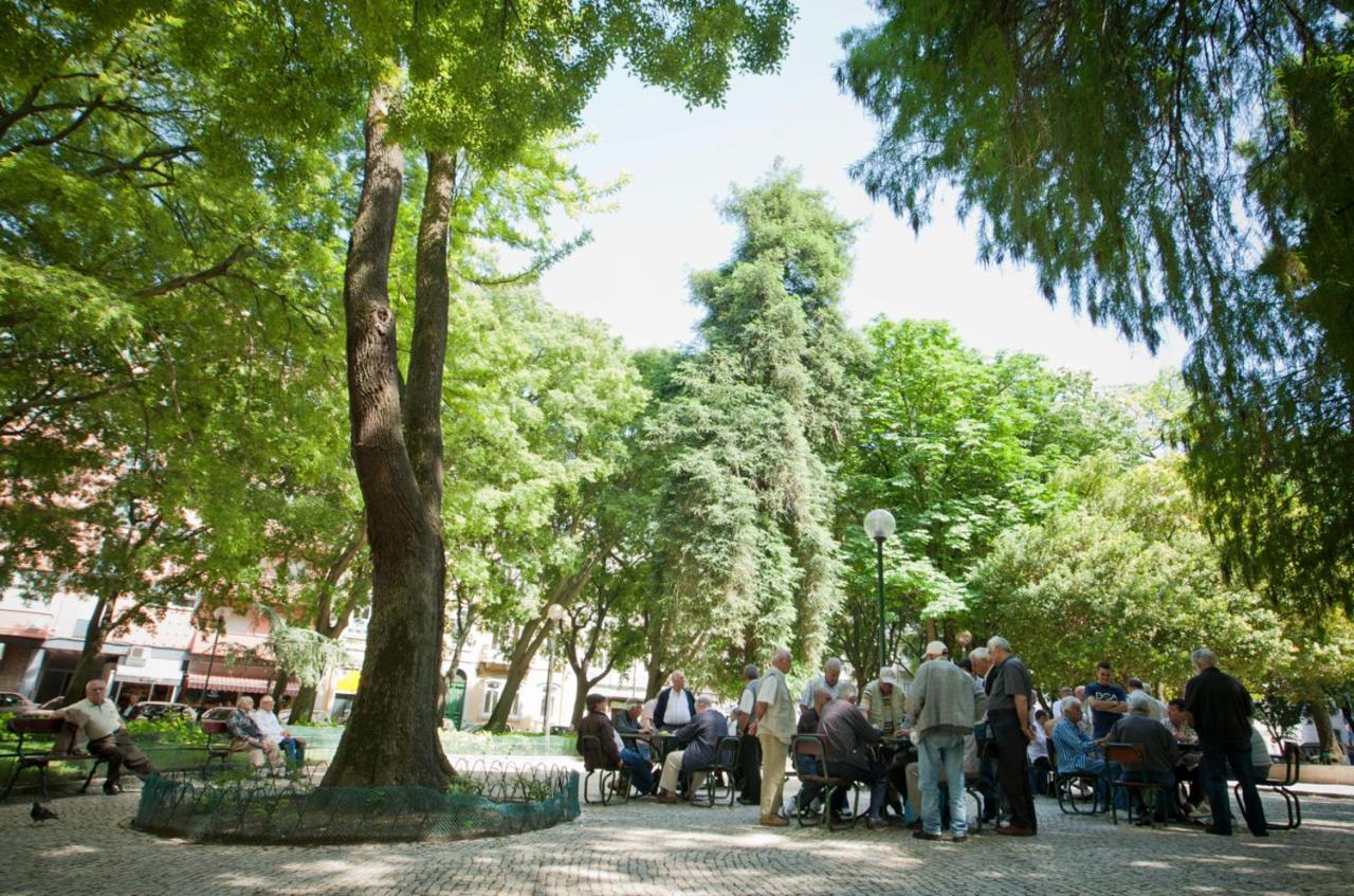 Campo De Ourique Gæstehus *